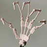 Finger Skeleton Upgrade