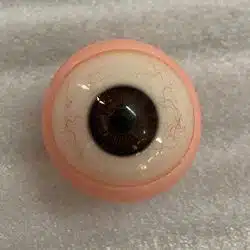 Movable Eye + Blood Vessels