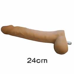 24cm